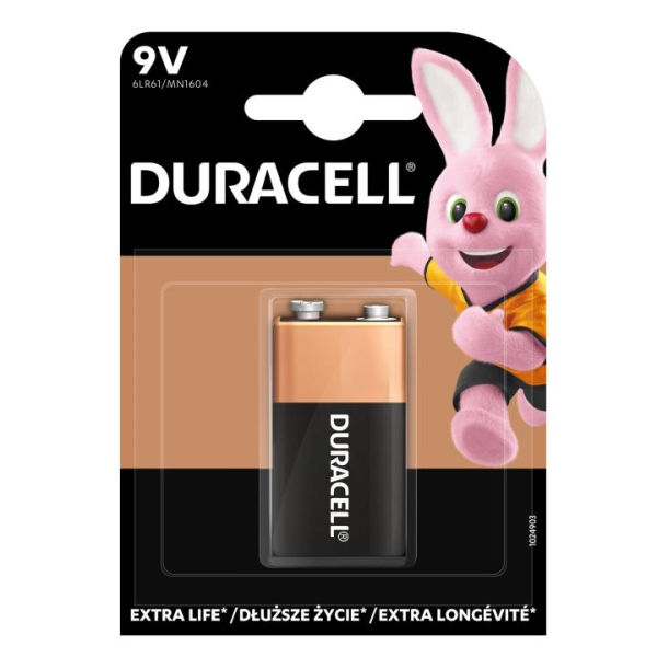 10PP110031 9V alkáli elem (6LR61)