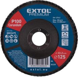 Extol Premium lamellás csiszoló P100, 125x22mm (8803475)