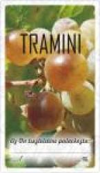 Matrica tramini 50db/csom (15151)