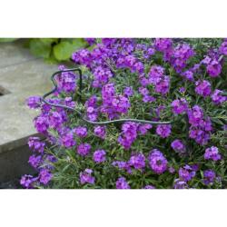 Nature hullámos ívű növénytámasz 80x40x22 cm (6040327)