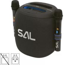SAL boombox vezeték nélküli hangrendszer mikrofonnal (PARCUBE)