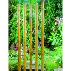 Nature bambusz növénytámasz 30 cm, 20 db (6040210)