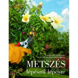 Metszés lépésről lépésre
