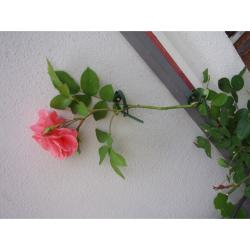 Nature futónövény rögzítő zöld, 25/45mm, 6 db-os szett (6040422)