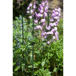 Nature műanyag virágtámasz 210 cm, 16mm (6040127)