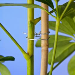 Nature kötöződrót vágószerkezettel, 0,7mm/50m (6040462)