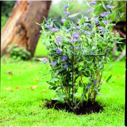 Nature növénytámasz 60x30x18 cm (6040318)