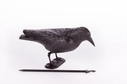 Galambriasztó varjú (14509)