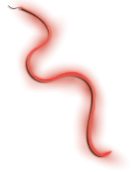 Cozze Element LED világítás, 5 m