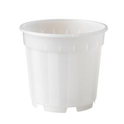 Nature növénytartály átlátszó, 13cm (6071102)