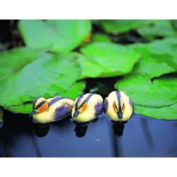 Ubbink állatfigura sárga kiskacsa, 12 cm (1382510)