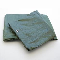 Takaróponyva 6 x 10 m 65g/m2 (3393319)