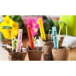 Nature jeltábla négyféle színben (kék, sárga, piros, rózsaszín) 10 cm, 40 db/csomag 6020311)