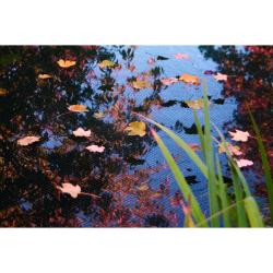 Ubbink lombfogó háló, 3x6 m (1064338)