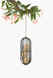 BEAU drót madáretető, fekete ovális (D002)