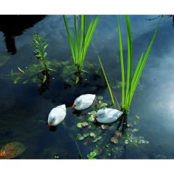 Ubbink állatfigura fehér kiskacsa, 12,5 cm (1382541)