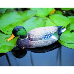 Ubbink állatfigura vadkacsa hím, 40 cm (1065045)