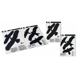 Swissinno madárriasztó matrica ablakra 5db/csomag (1705000 - 1705001)