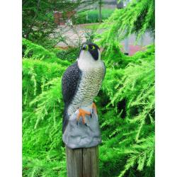 Ubbink állatfigura sólyom, 40 cm (1382522)