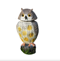 Bagoly forgó fejjel (850545 - R022)