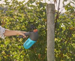 Gardena combisystem Bogyósgyümölcs-szüretelő készlet (17400-30)