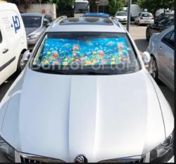 Autós napellenző aqua TH805