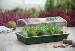 NATURE propagátor átlátszó tetővel, két szellőzővel 21x55x31cm (6020211)