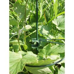 Nature műanyag növénytámasz, kerek, 32 cm (6040313)