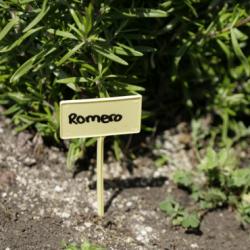 Label 13 jelölőtábla 10 db/csom. 5014033 (15672)