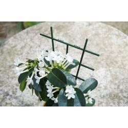 Nature viráglétra 37x23 cm, 2 db-os szett (6040106)