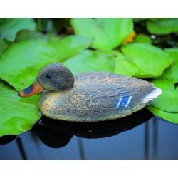 Ubbink állatfigura nőstény vadkacsa, 40 cm (1065038)