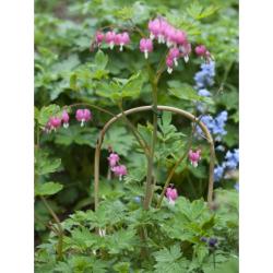 Nature hajlított bambusznád 150 cm, 3 db (6040243)