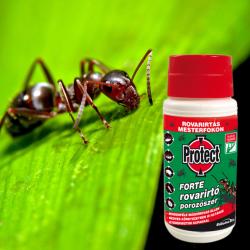 Protect Forte rovarirtó porzószer 100 g