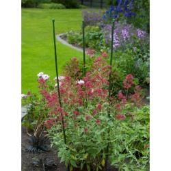 Nature műanyaggal bevont zöld színű bambusz 120 cm, 5 db (6040252)