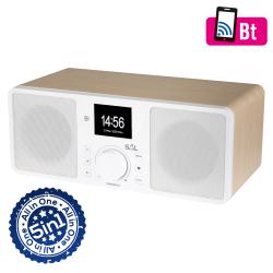 SAL internetrádió 5in1 (INR 5000/WH)