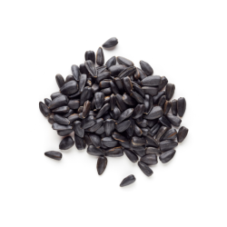 Vitafitt fekete napraforgó, madáreleség (51747112)