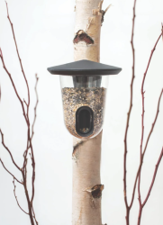 FEEDR műanyag madáretető, vad zöld (F006)