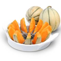 Perfect Home Dinnyeszeletelő (12360)