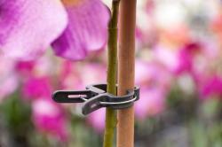 NATURE futónövényrögzítő O24mm, 10db-os (6040438)