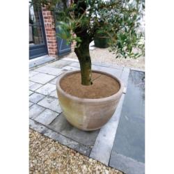 Nature kókuszlemez 60 cm,  3 db (6030143)