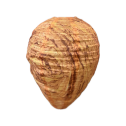 Darázsfészek imitáció (850556 - RO05)