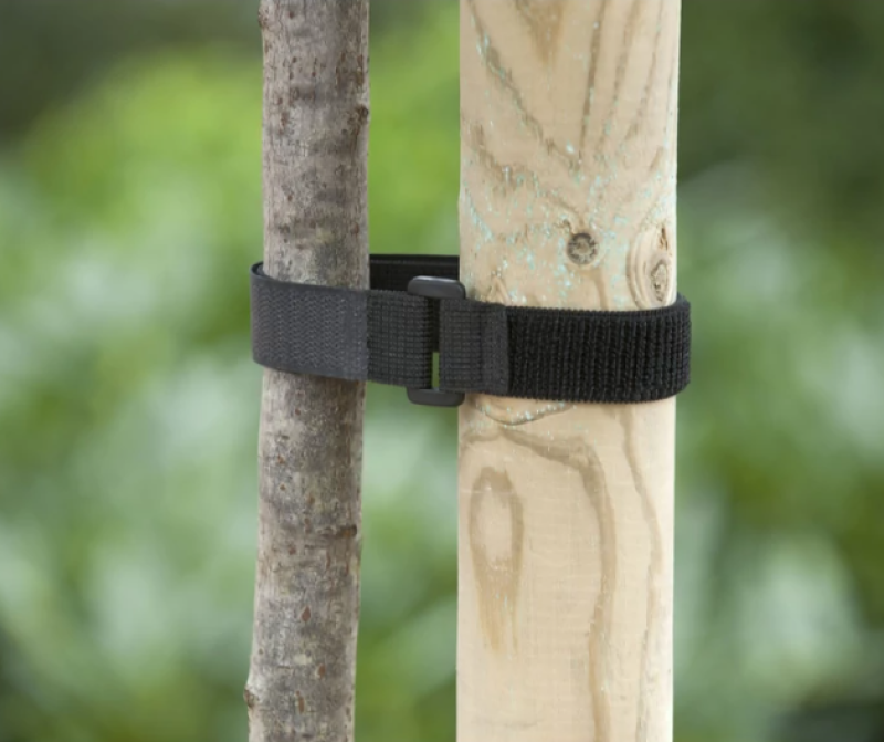 NATURE fatörzsrögzítő 40cm x 2,5cm (6040404)
