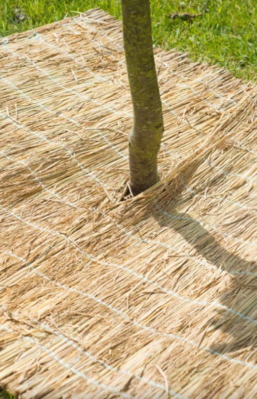 NATURE fagyvédő gyékényfonat 1m x 1,5m (6030105)