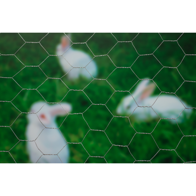 Nature Hexagal galvanizált drótkerítés, 25x25mm, 1x10m (6050219)
