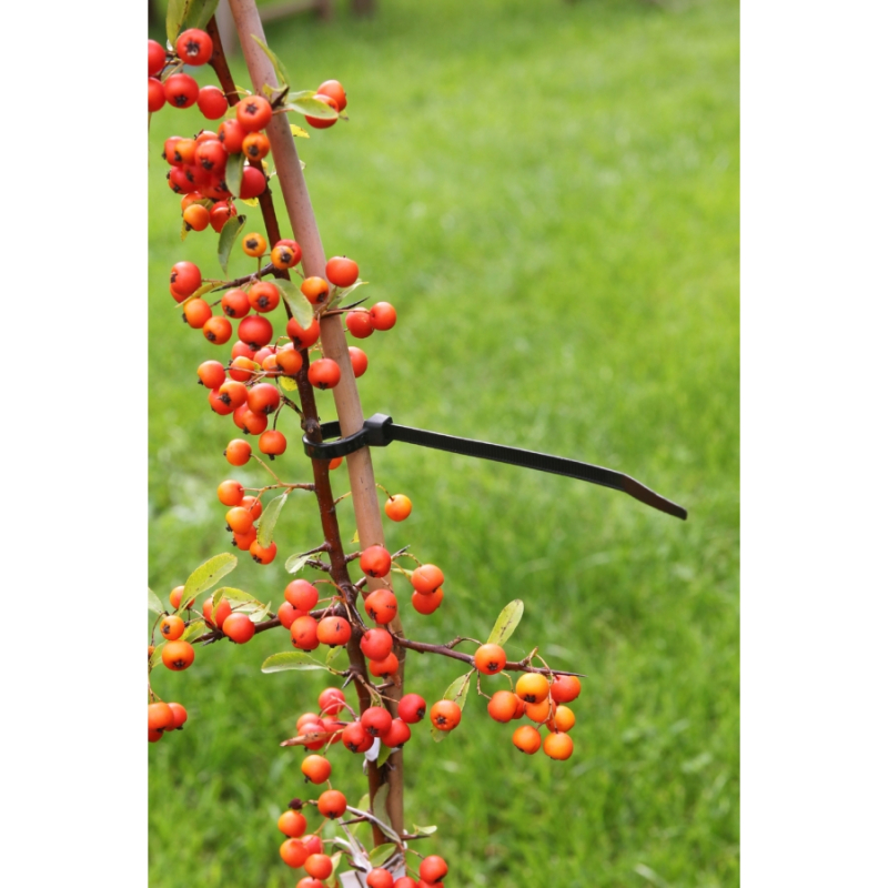 Nature gyorskötöző rögzítő műanyag, 30cm, 25db/csomag (6040427)