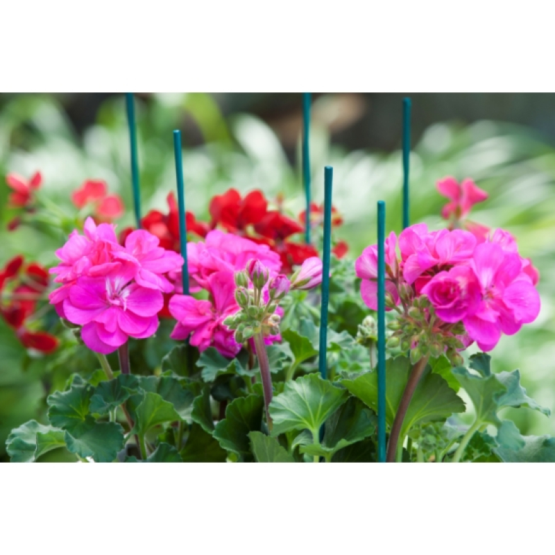 Nature bambusz növénytámasz 50 cm, zöld, 10 db (6040215)