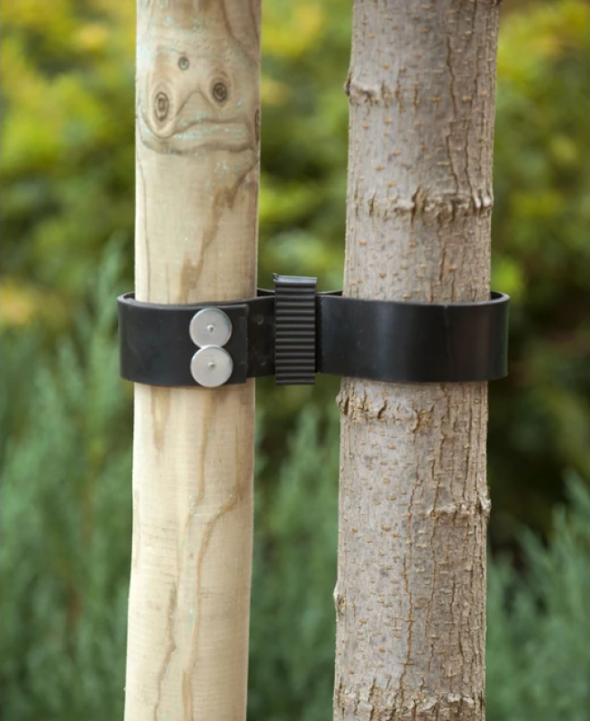 NATURE fatörzsrögzítő 60cm x 3,8cm, 2db (6040403)