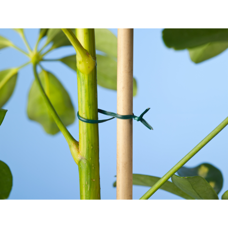 Nature kötöződrót vágószerkezettel, 100m (6040457)