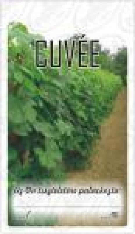 Matrica cuvée 50db/csom (15157)