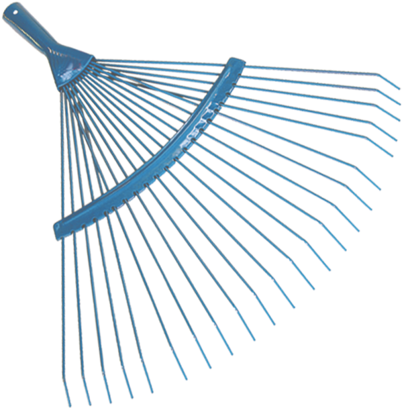 Muta pázsitseprű pálcásfogú (10284)